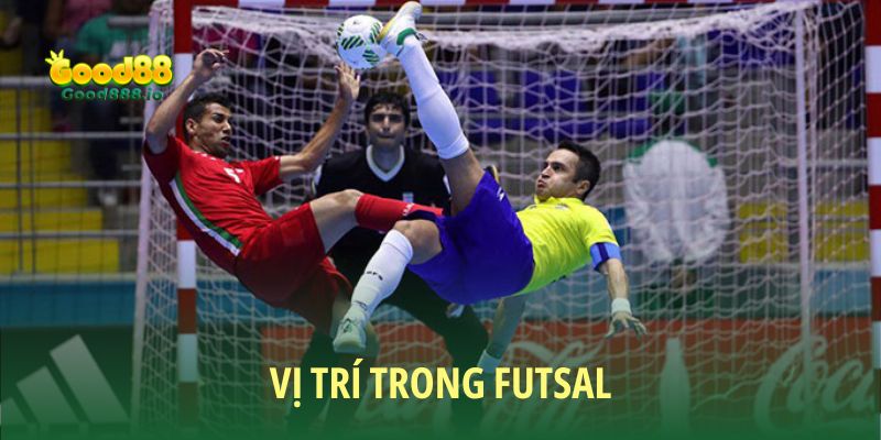 Tìm hiểu các vị trí trong Futsal là gì